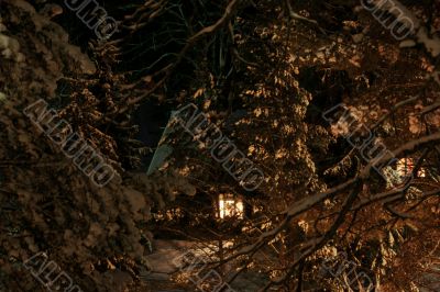 Small house in winter forest