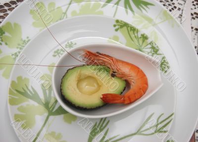 avocado & shrimp