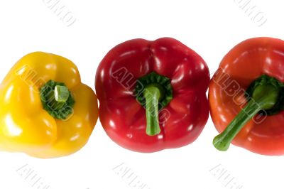 Paprika on white background
