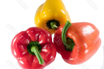 Paprika on white background