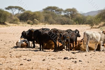 drought