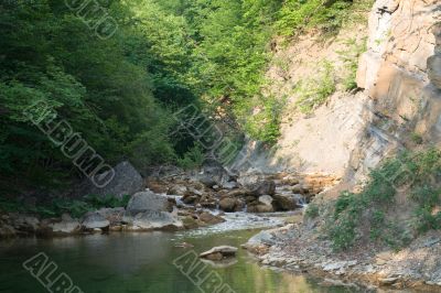 River in the forest