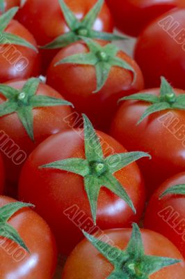 tomatoes vertical