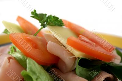 Open Sandwich 4
