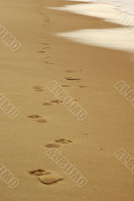 Footprints in the Beach Sand at Sunset