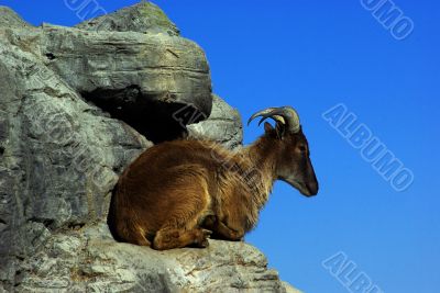 On Top of the World