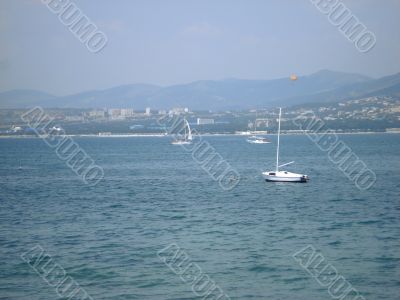 Sailboats in bay
