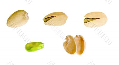 Pistachio