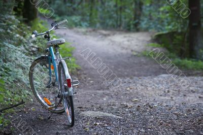 gravel path with bike