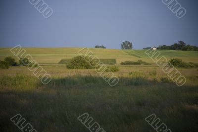 summer landscape
