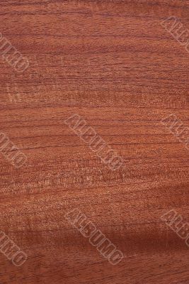 Wood Texture: Red Cedar