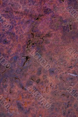 Wood Texture: Jarrah