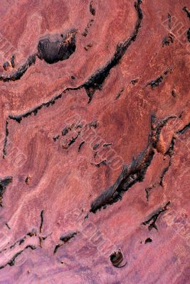 Wood Texture: Red Gum Burl