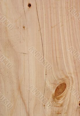 Wood Texture: Macrocarpa