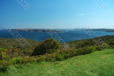 Sydney panorama