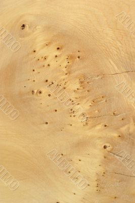 Wood Texture: Unknown Pale Wood
