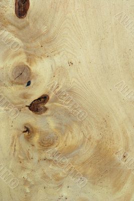 Wood Texture: Huon Pine
