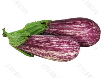 Two eggplants isolated