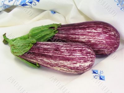 Two eggplants