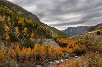 Autumn colors