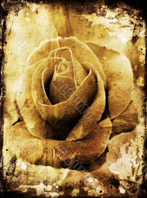 Grunge rose