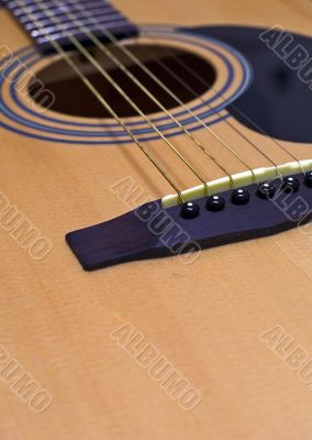 Acoustic Guitar