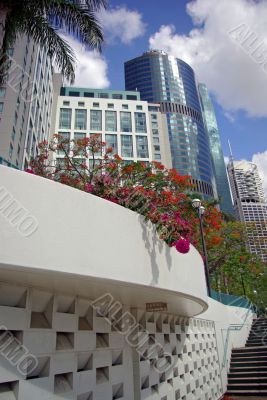 Greening the City