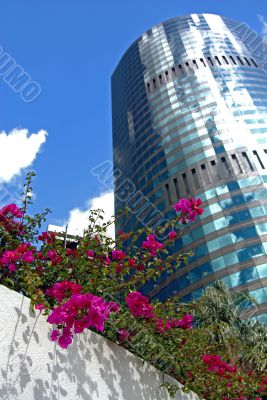 Greening the City