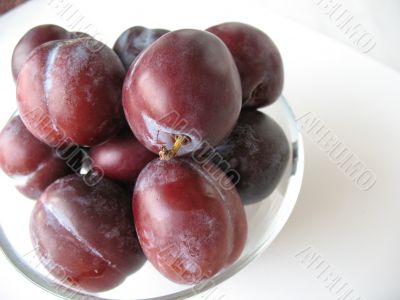 Purple plums
