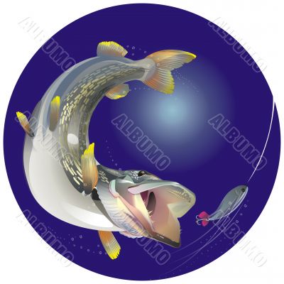 Ravenous fish