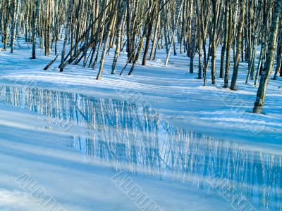 Spring Reflections