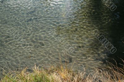 Ripples & sunlight in stream