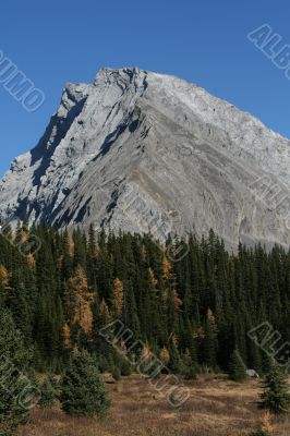 Mt Galatea, showing thrust faults