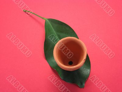 flower pot and leaf