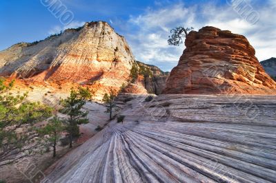 Small grove in striped mountains