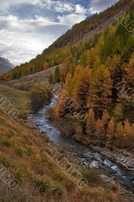 Mountain river