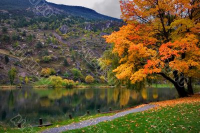 Water mirror
