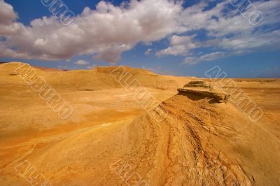 In the autumn in desert