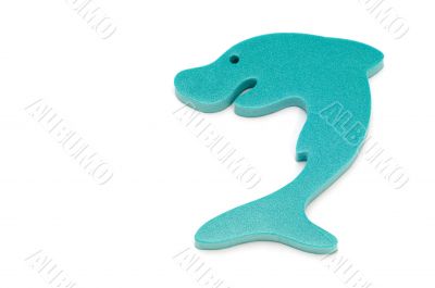 shark