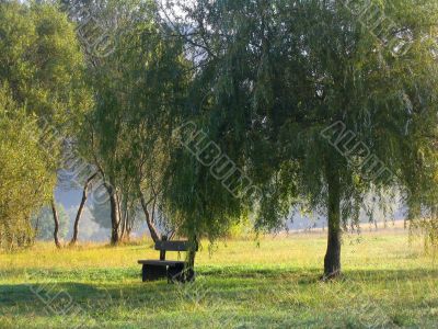 Park bench in the morning ligth