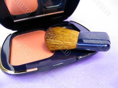 Blusher and brush