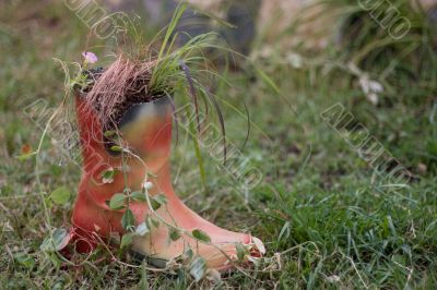 Booted flower-bed