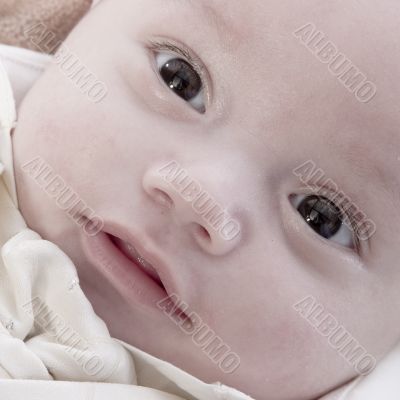 Asian baby portrait