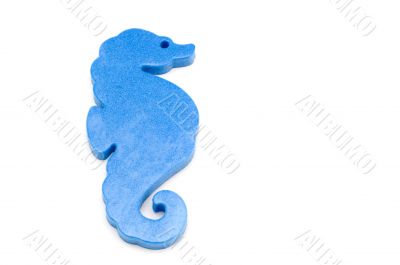 sea-horse