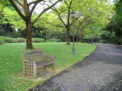 Lone bench in park