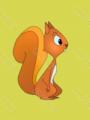 Fun red squirrel illustration