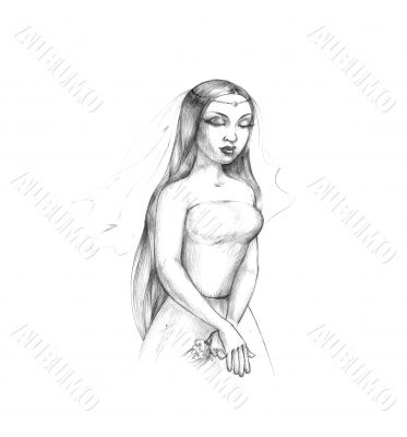 Young bride illustration