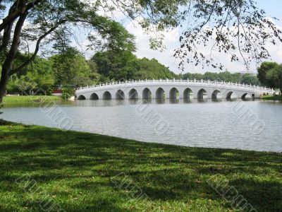 Bridge at Chinese Garden in Singapore