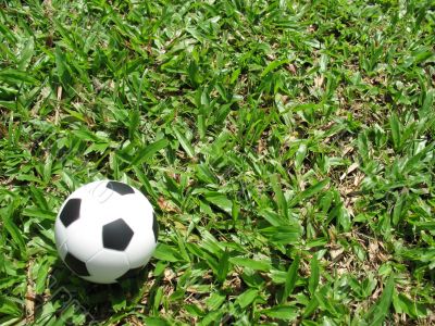 Single Football Lying On The Grass