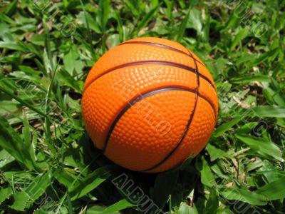 Closeup Of Basketball On Grass